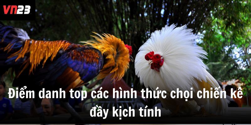 Điểm danh top các hình thức chọi chiến kê đầy kịch tính