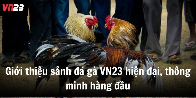 Giới thiệu sảnh đá gà VN23 hiện đại, thông minh hàng đầu