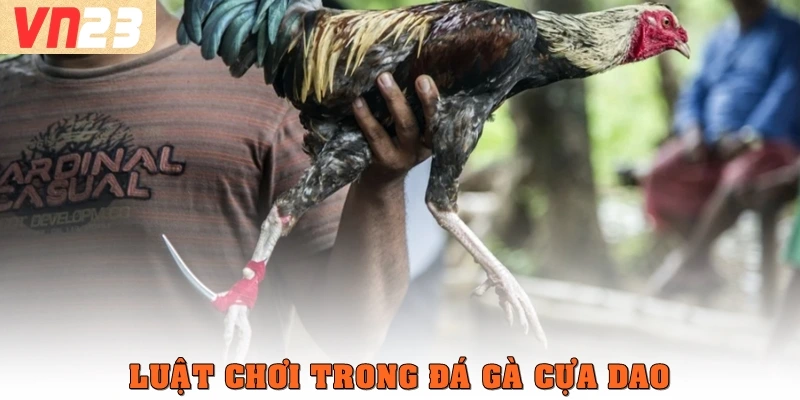 Luật chơi trong đá gà cựa dao